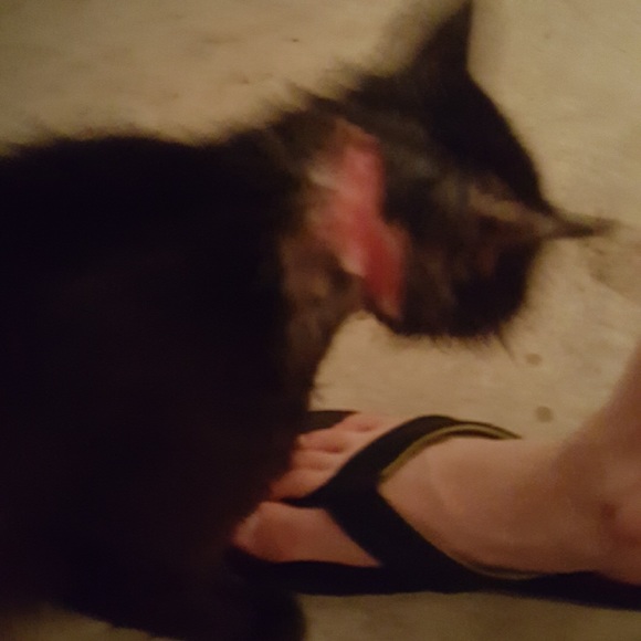 New Rescue - Picture 2 of 6